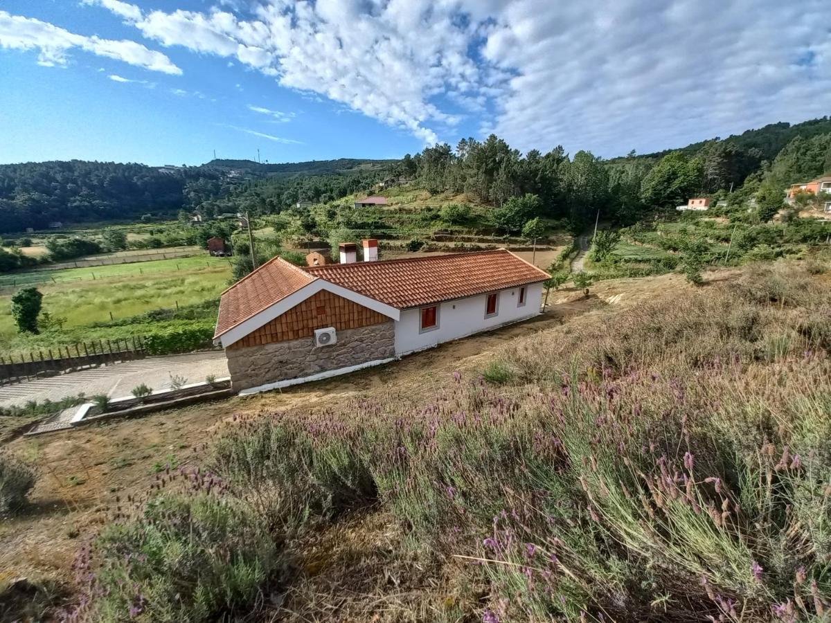 וילה ריאל Quinta Da Peca Douro Vinhateiro מראה חיצוני תמונה