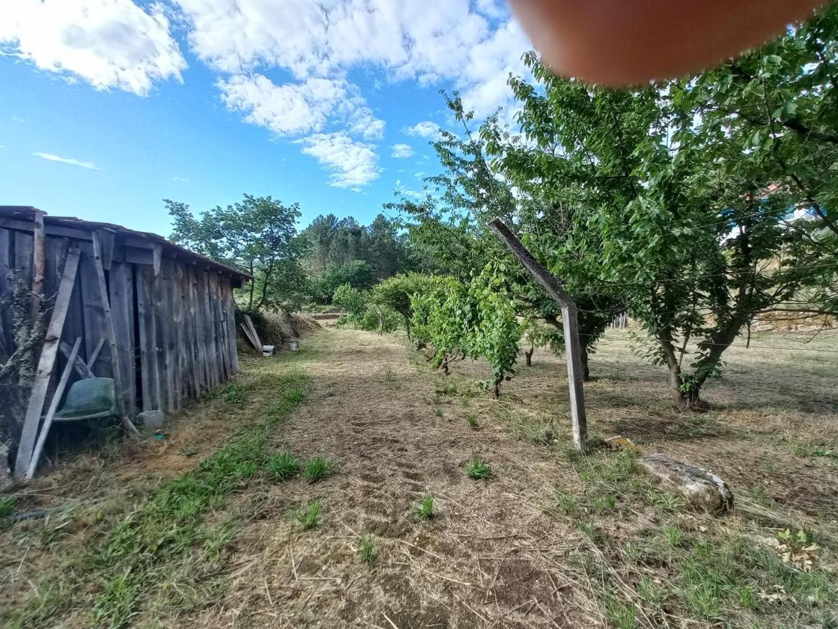 וילה ריאל Quinta Da Peca Douro Vinhateiro מראה חיצוני תמונה