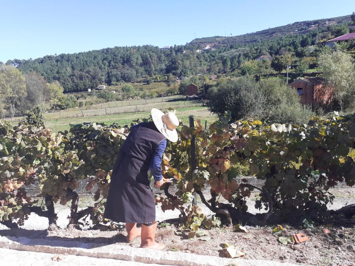 וילה ריאל Quinta Da Peca Douro Vinhateiro מראה חיצוני תמונה