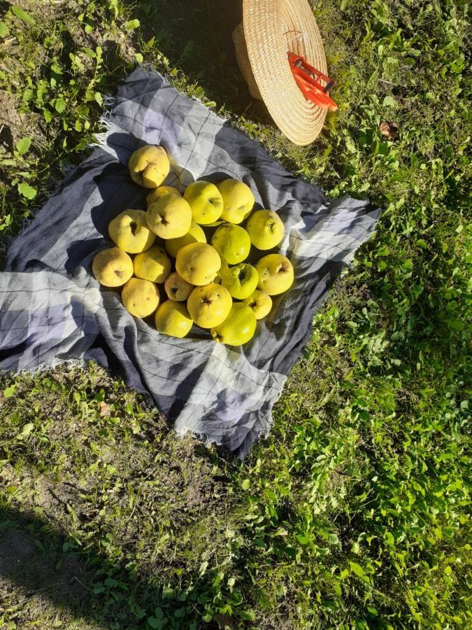 וילה ריאל Quinta Da Peca Douro Vinhateiro מראה חיצוני תמונה
