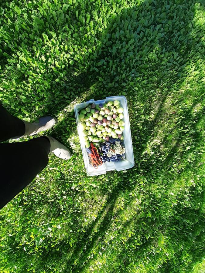 וילה ריאל Quinta Da Peca Douro Vinhateiro מראה חיצוני תמונה