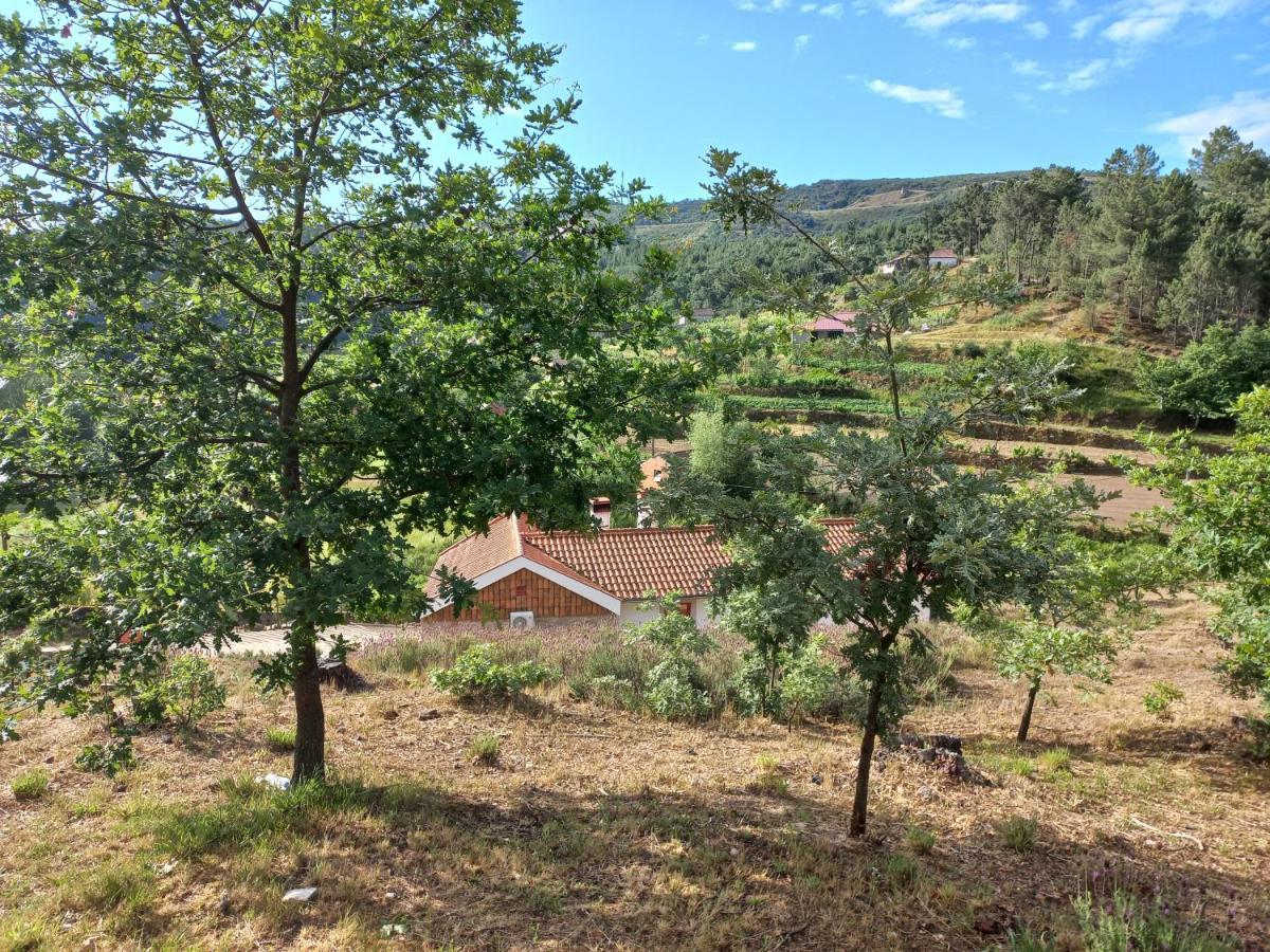 וילה ריאל Quinta Da Peca Douro Vinhateiro מראה חיצוני תמונה