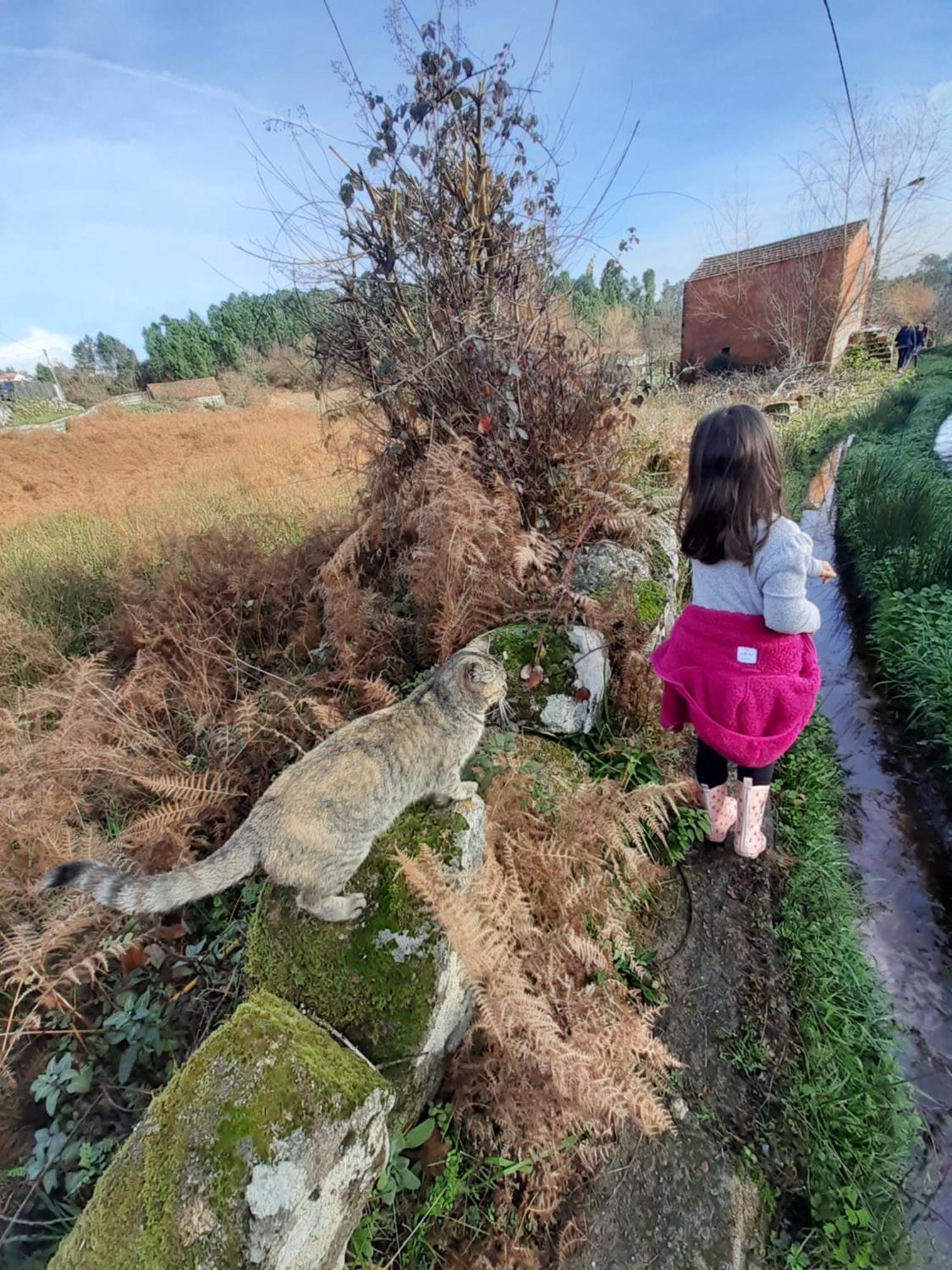 וילה ריאל Quinta Da Peca Douro Vinhateiro מראה חיצוני תמונה