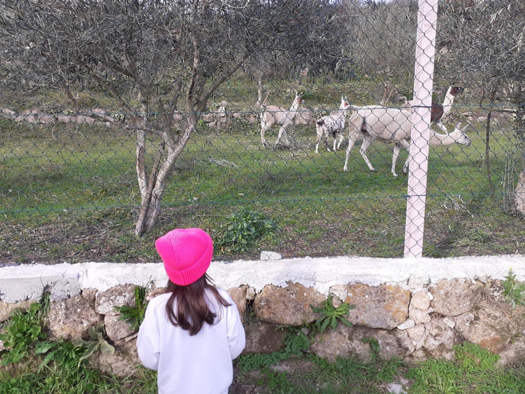 וילה ריאל Quinta Da Peca Douro Vinhateiro מראה חיצוני תמונה