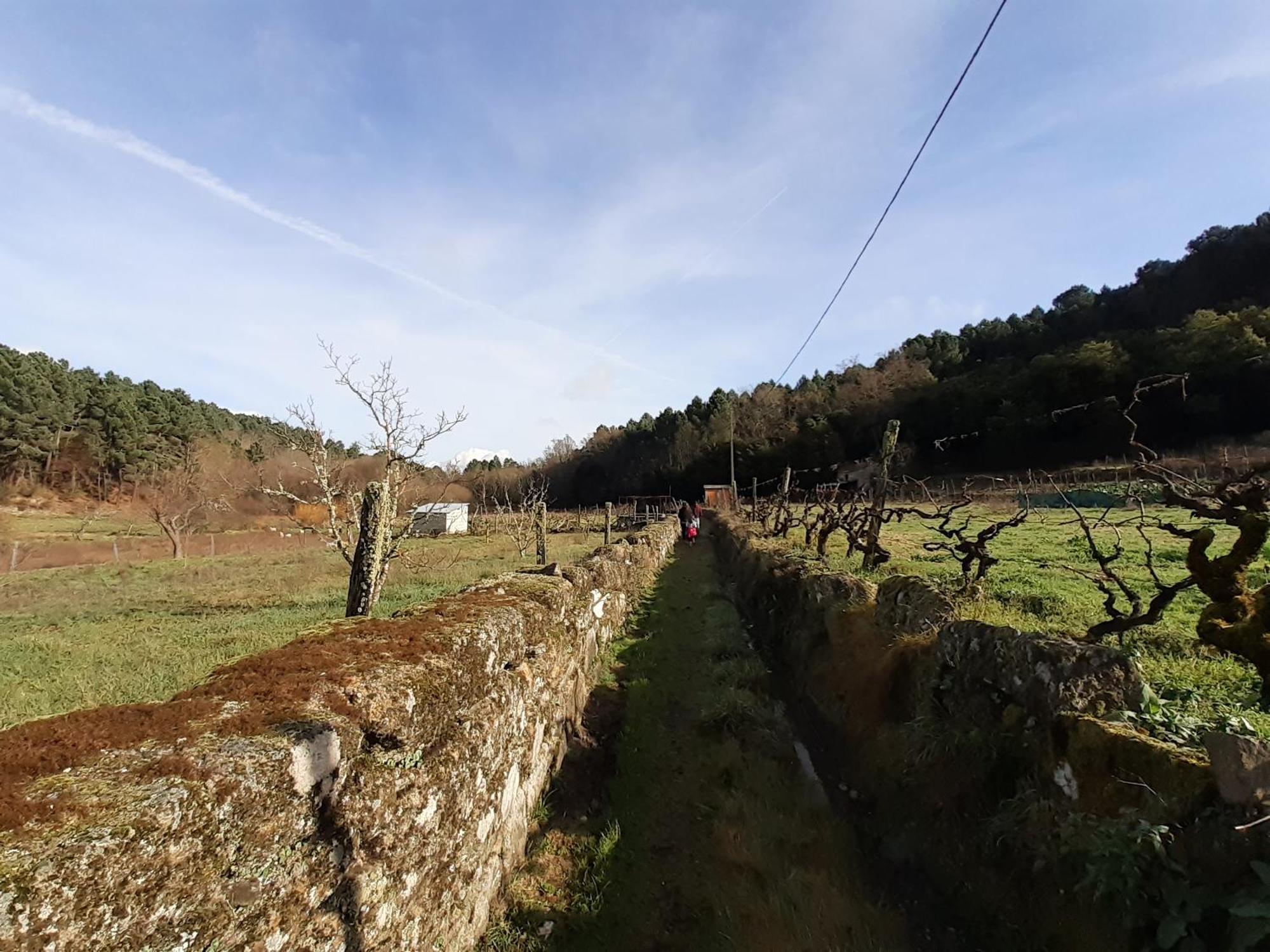 וילה ריאל Quinta Da Peca Douro Vinhateiro מראה חיצוני תמונה