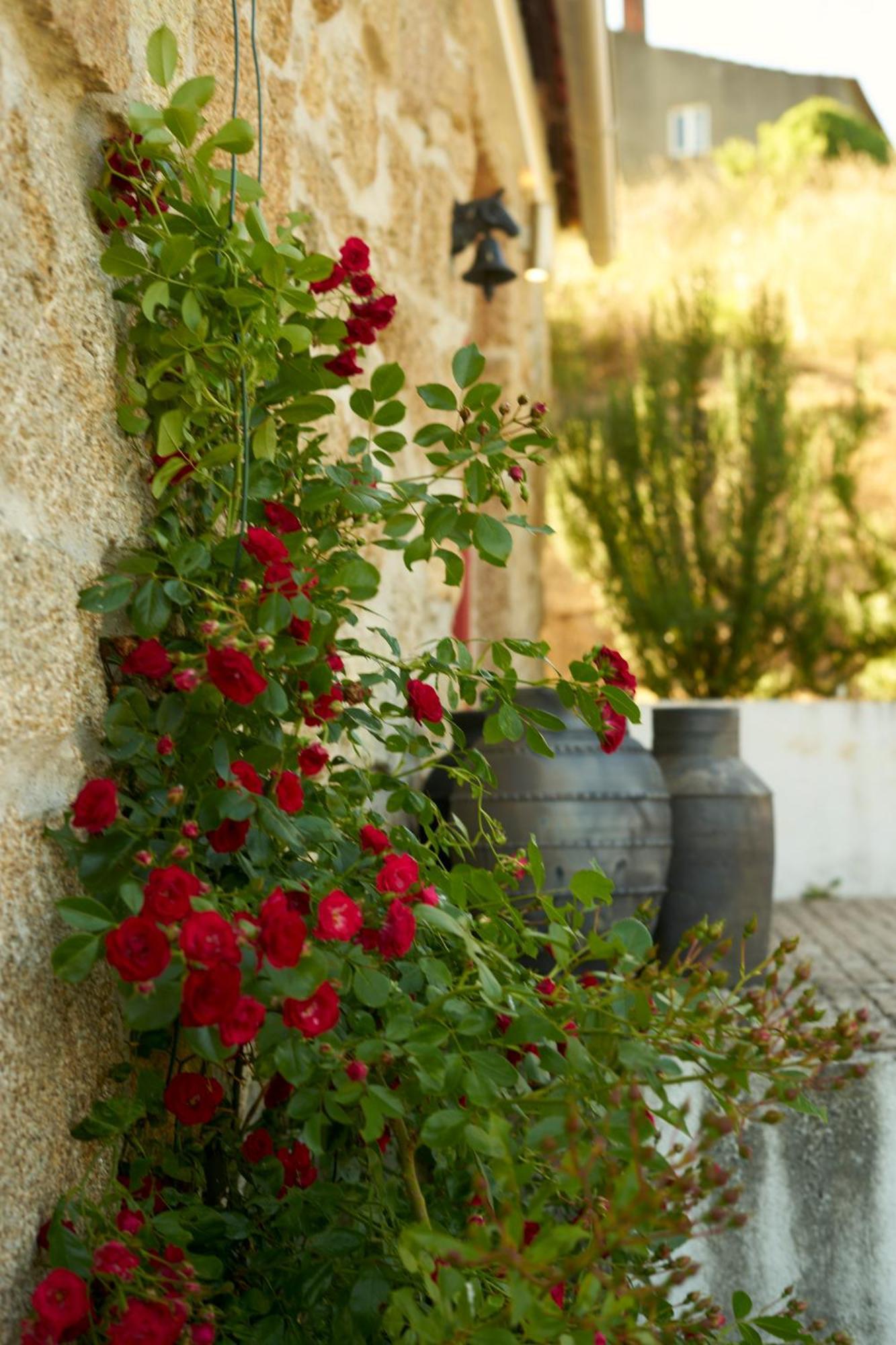 וילה ריאל Quinta Da Peca Douro Vinhateiro מראה חיצוני תמונה